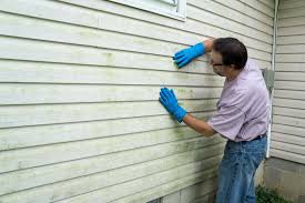 Best Vinyl Siding Installation  in Batavia, IL